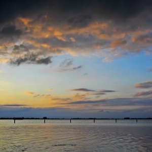 Zuidlaardermeer - Landschap